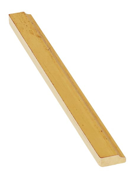 GSL1