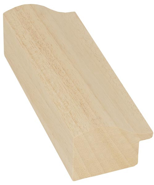 PP101