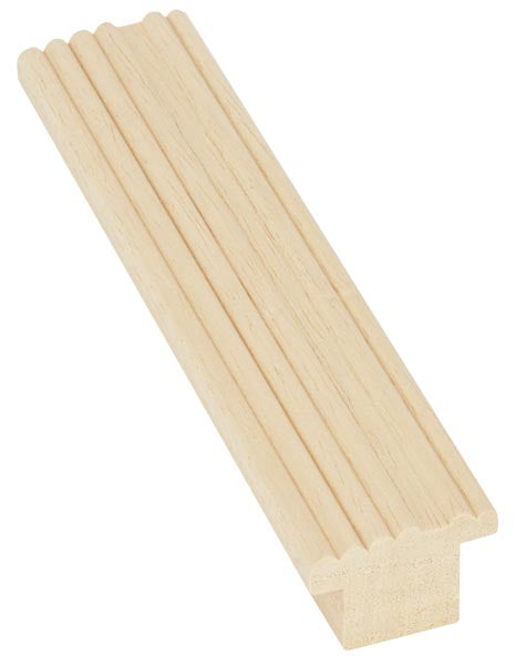 PP113