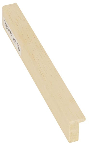 PW101